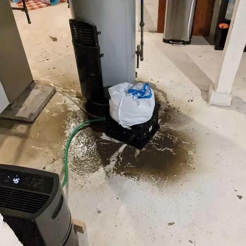 Sewage Backup Cleanup Service in Desert Edge, CA